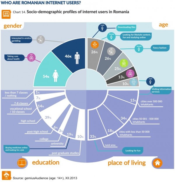 Infografic Utilizatori Romani de Internet