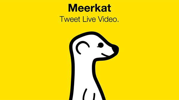 Meerkat