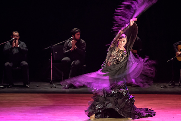 Flamenco-de-5-stele-019-foto-Paul-Baila